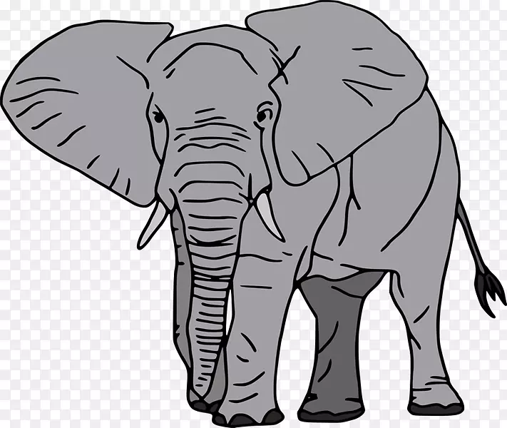 非洲象亚洲象画-谢琳·伍德利