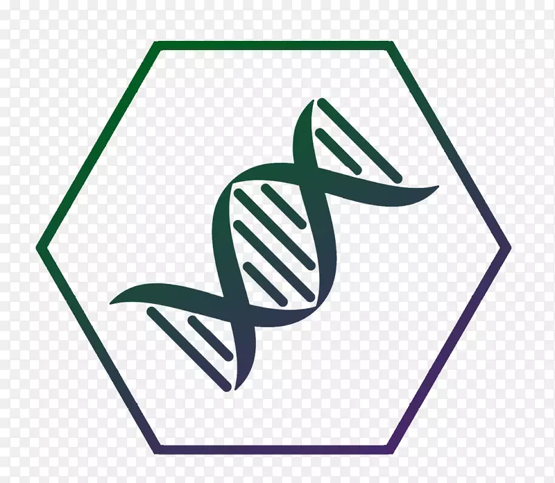 dna核酸双螺旋基因分子片段art-dna