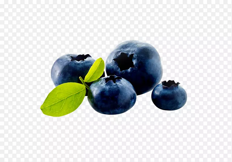 蓝莓食物越橘-蓝莓