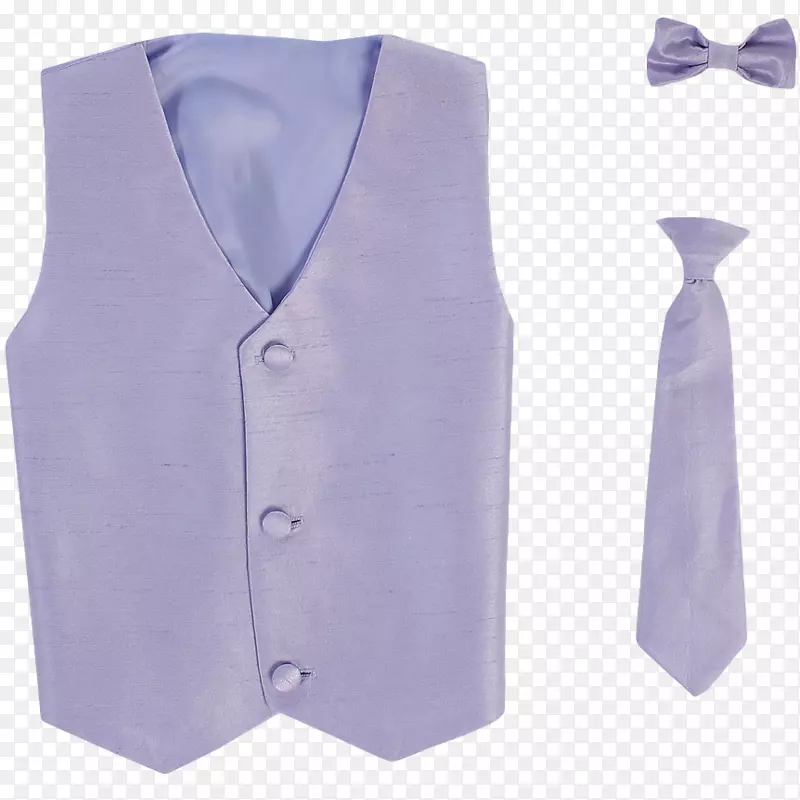 紫色正式佩戴领带领结镀金.紫丁香