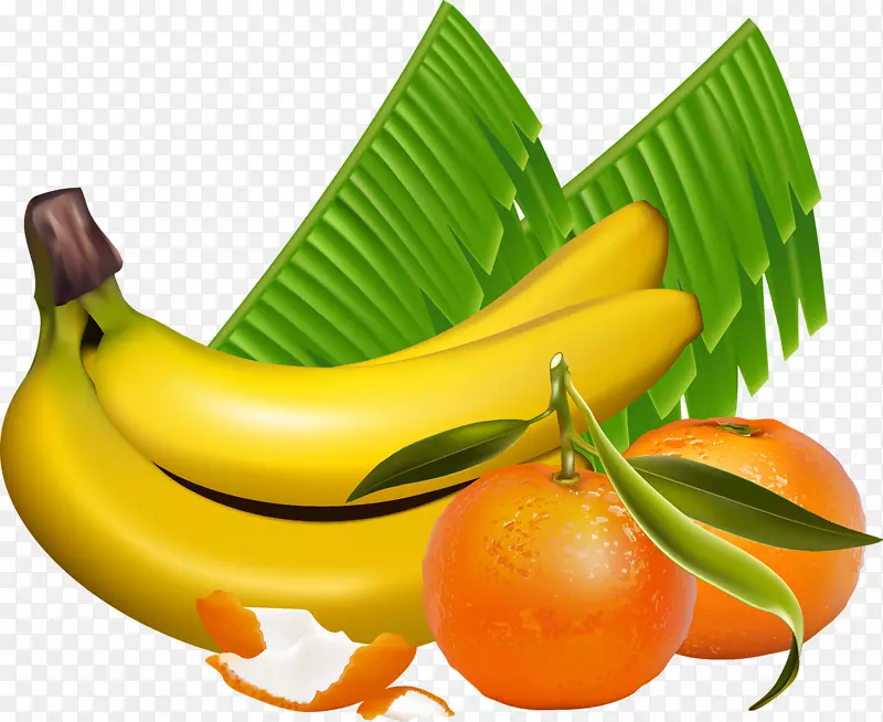 香蕉叶橙橘子