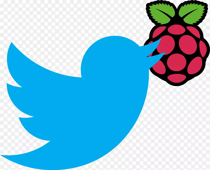 raspberry pi基金会计算机软件kodi-raspberry