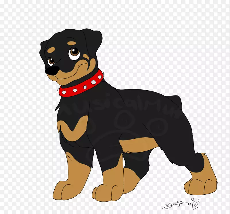 罗威幼犬，黑色和棕褐色的库恩猎犬，饲养犬科-爪子