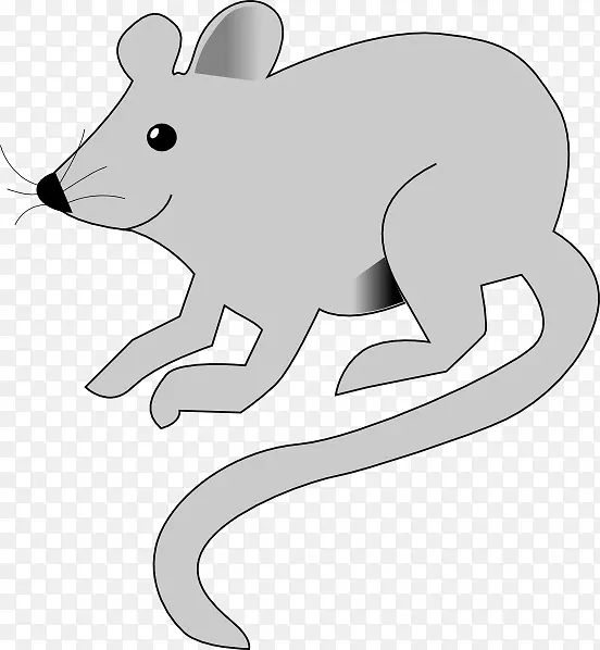 鼠标动画剪贴画-老鼠和老鼠