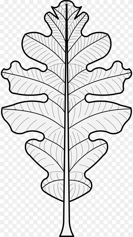 叶植物茎纹章剪贴画.橡木