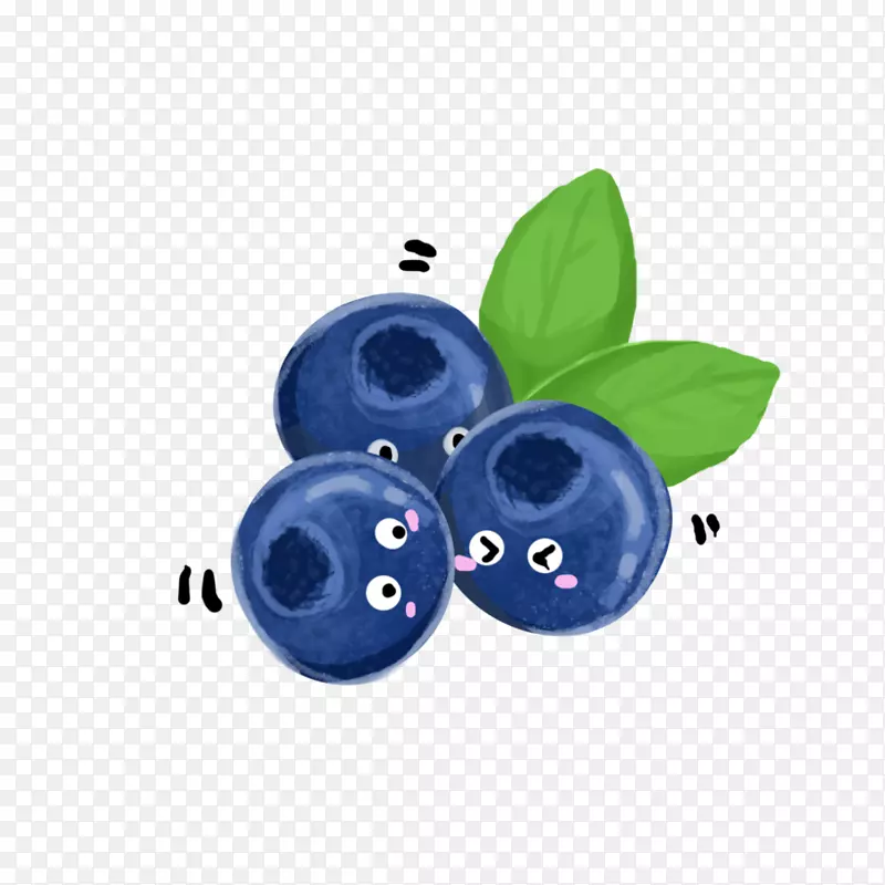 蓝紫色蓝莓-蓝莓