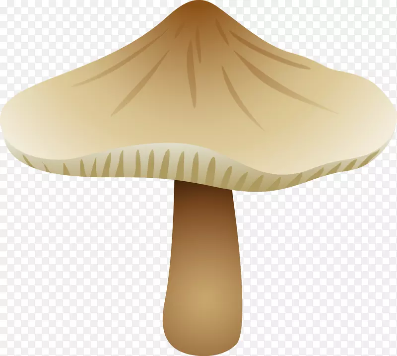 食用菌牛肝菌-蘑菇
