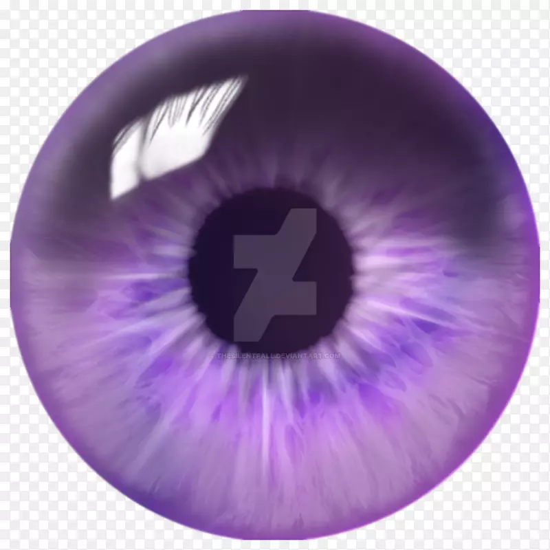 虹膜眼毛刺紫罗兰-眼球