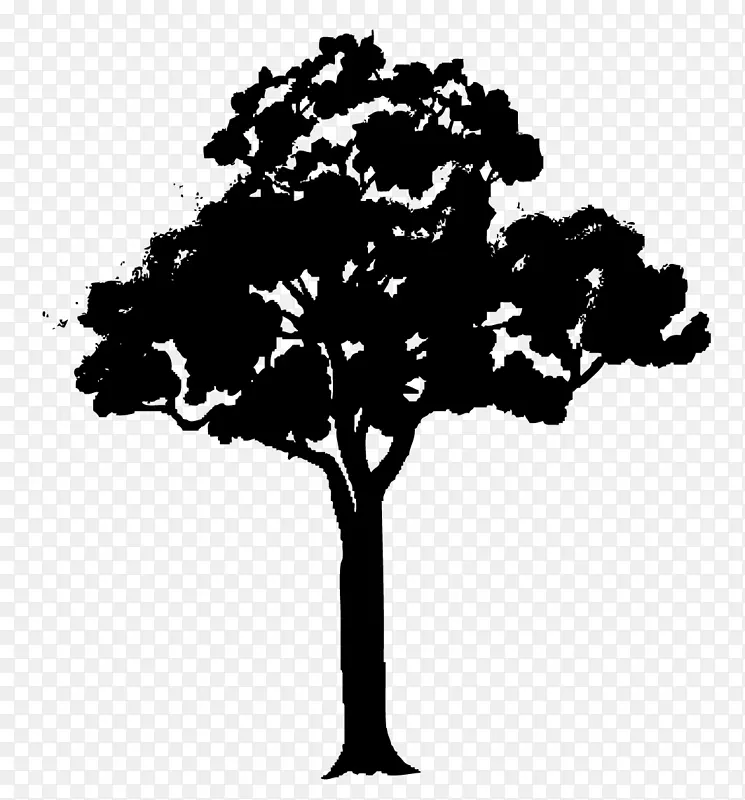 树木动画剪贴画-椰子树