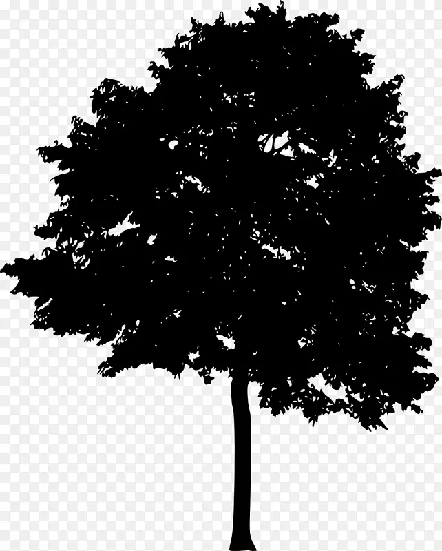 树光木本植物轮廓-树木轮廓
