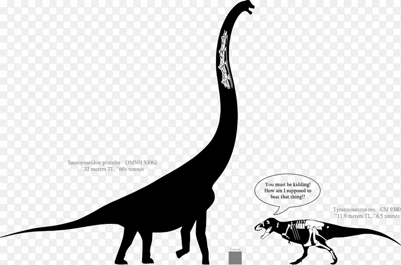 波塞东龙恐龙大小