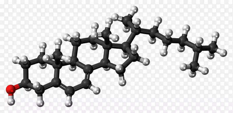 胆固醇高密度脂蛋白低密度脂蛋白脂质分子
