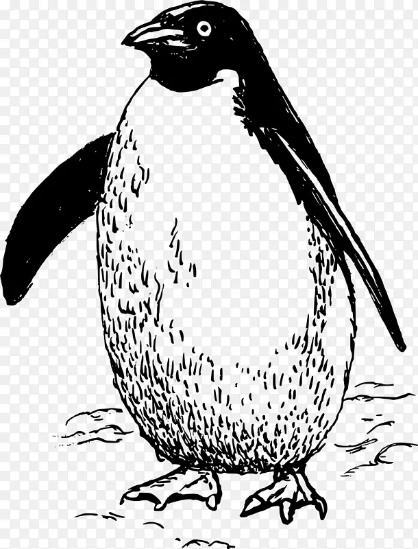 企鹅线艺术剪贴画-pinguin