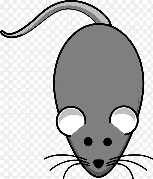 老鼠线艺术剪贴画-老鼠和老鼠