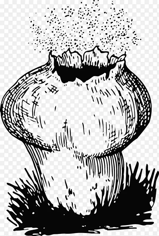 孢子菌蘑菇泡球繁殖-蘑菇