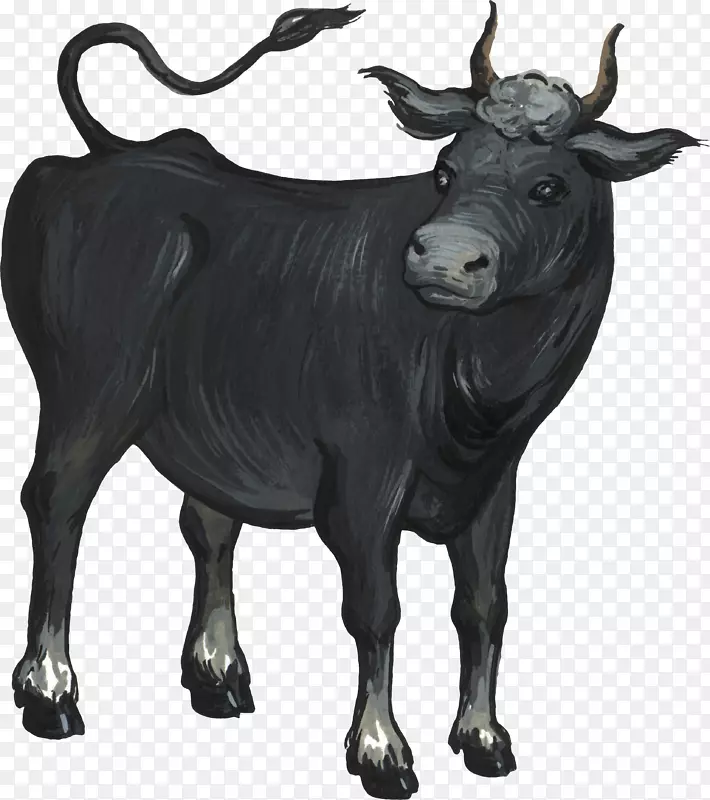 牛、牛-克拉拉贝尔牛