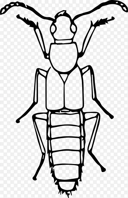 大众甲虫线艺术剪贴画甲虫