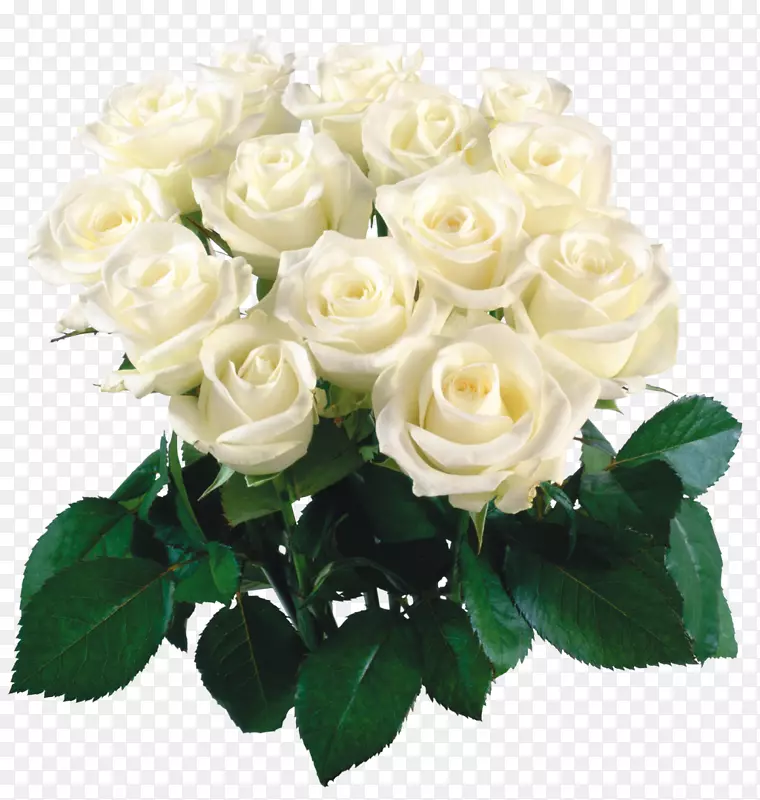 桌面壁纸花束玫瑰白玫瑰
