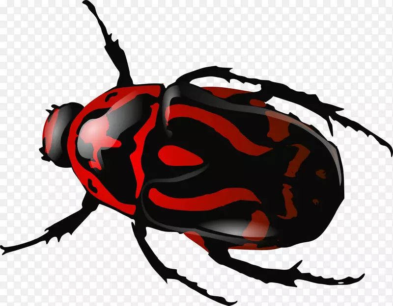 甲虫下载剪辑艺术-昆虫