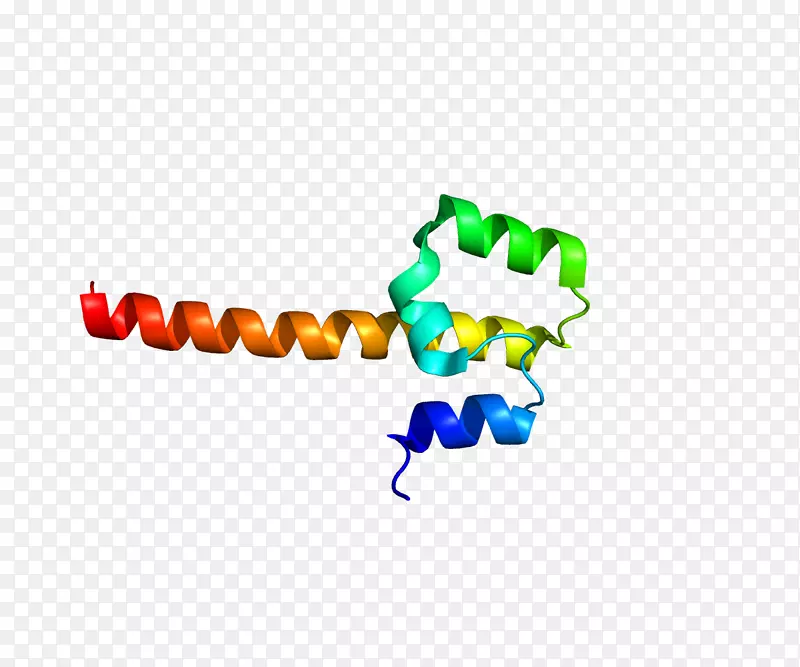 nfe2bzip结构域蛋白转录因子maff-start