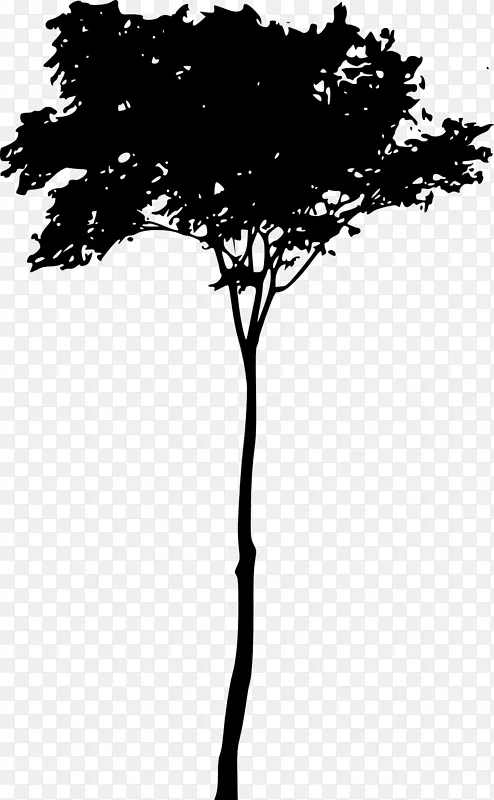 树木木本植物嫩枝轮廓-树木轮廓