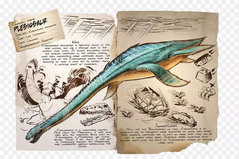 白头翁方舟：生存进化的伊拉索龙棘龙爬行动物-羊肉