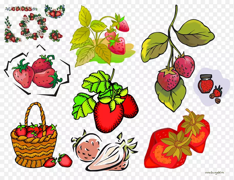草莓食品花卉设计-草莓果实