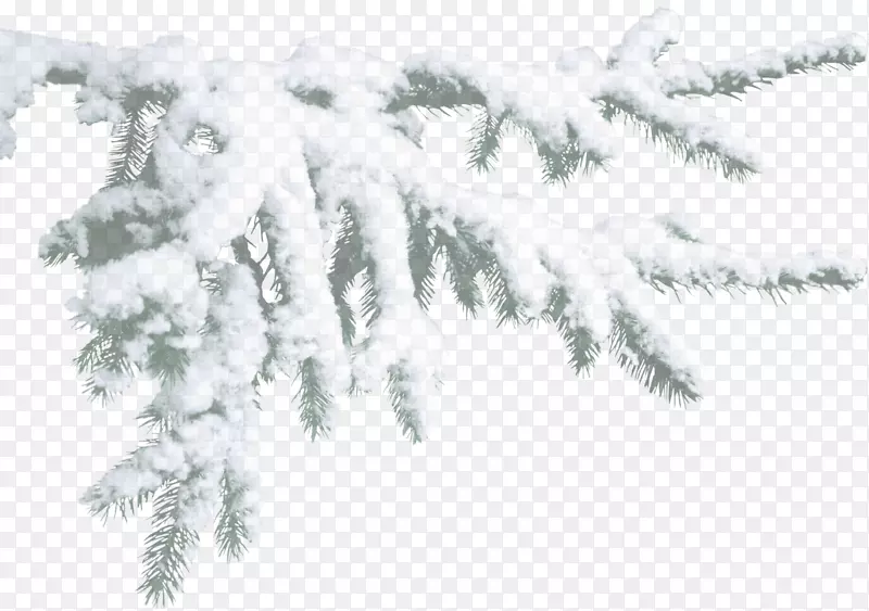 雪博客剪贴画-冬天
