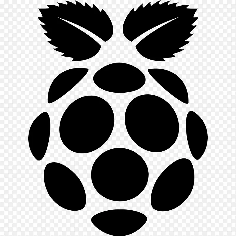 raspberry pi计算机图标raspbian web浏览器-raspberry