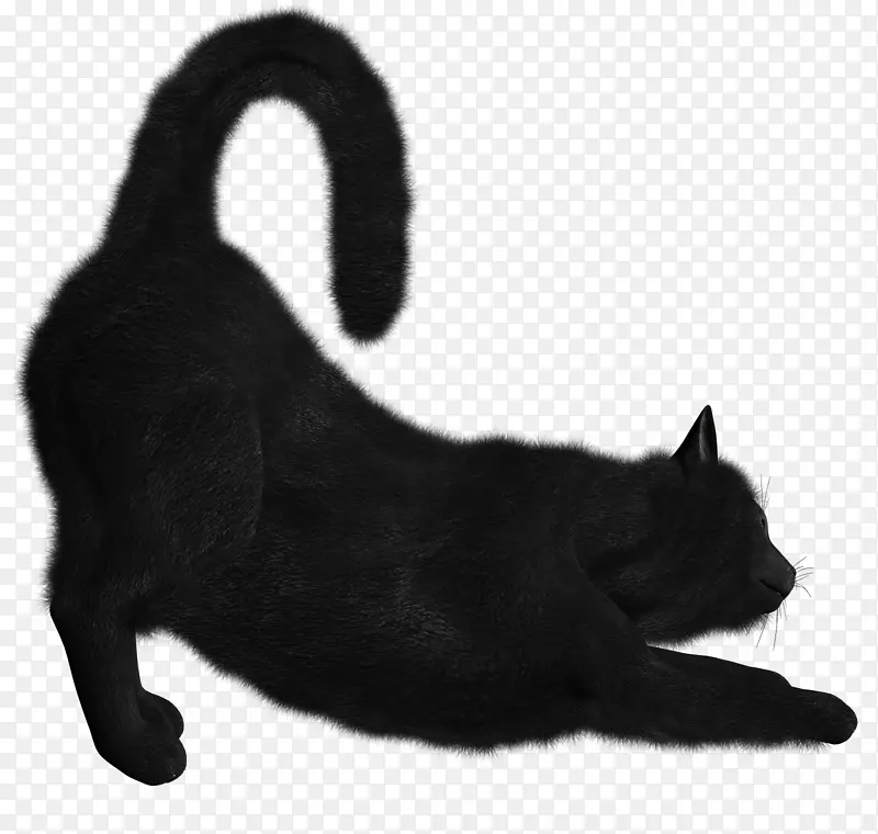 黑猫小猫剪贴画-小猫