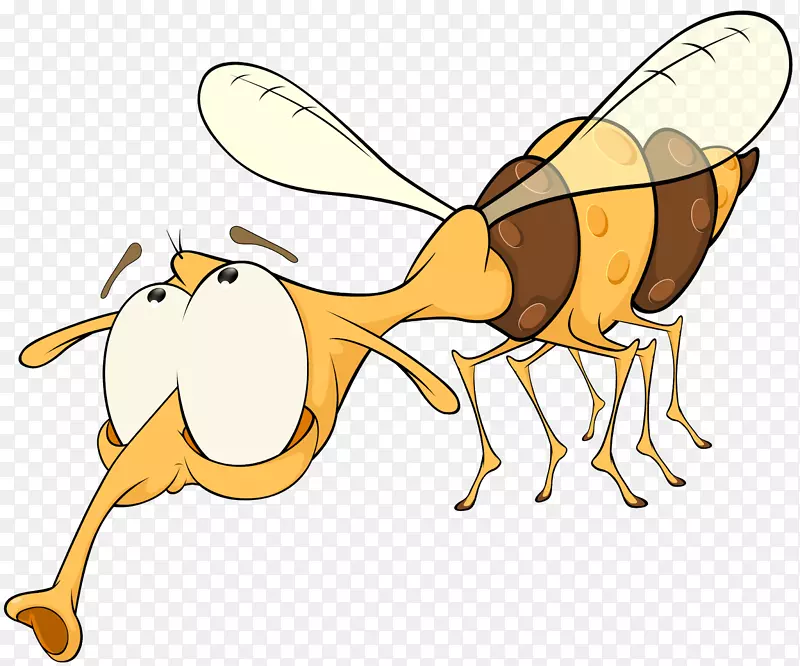 蜜蜂昆虫授粉器-黄蜂