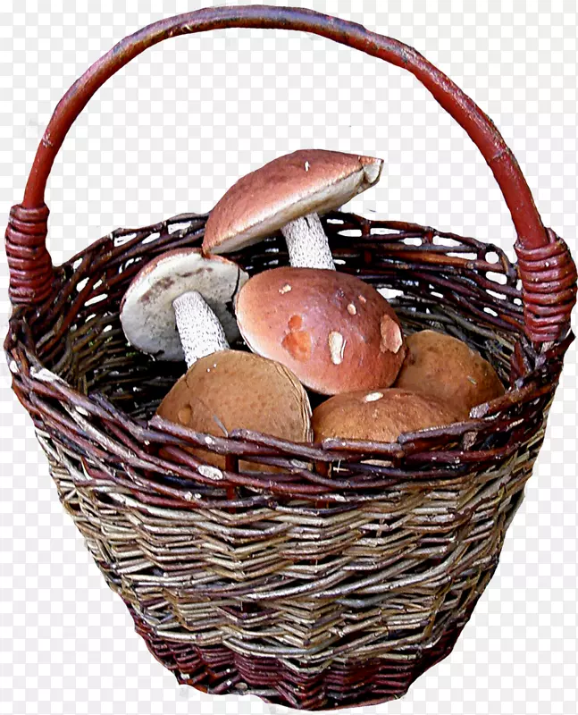 篮夹艺术-蘑菇