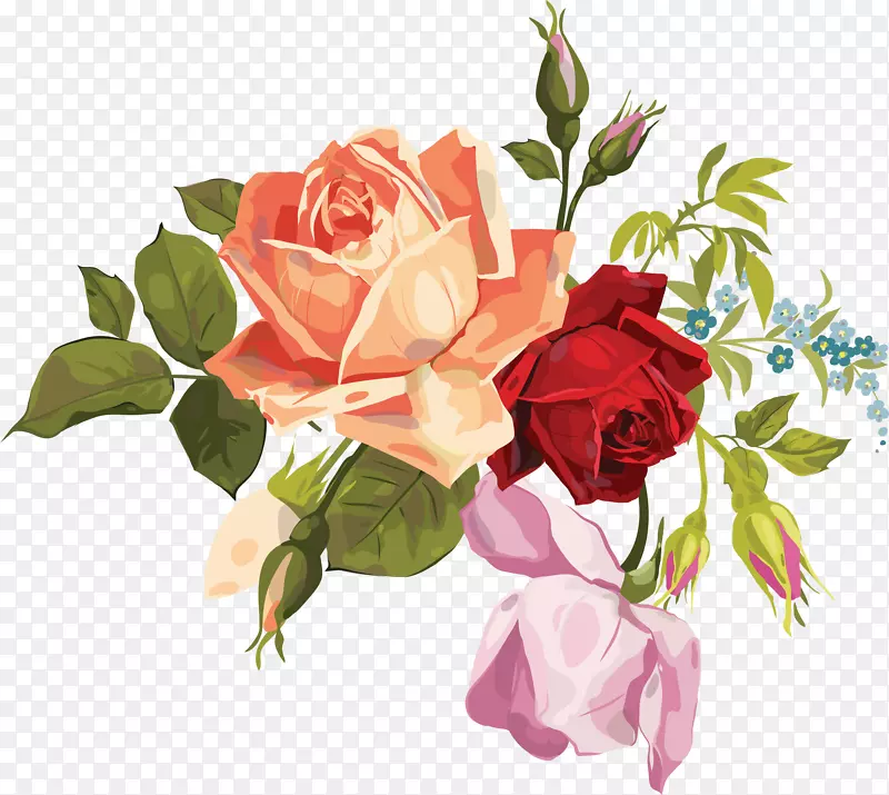 花园玫瑰，花束设计，切花.水彩画