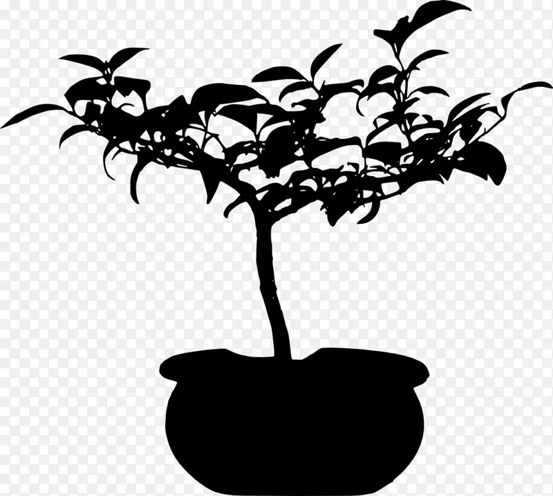 木本植物枝叶轮廓