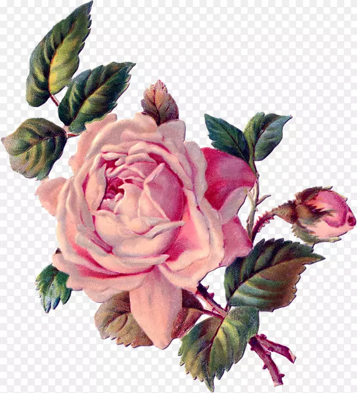 花玫瑰回形针艺术-生姜
