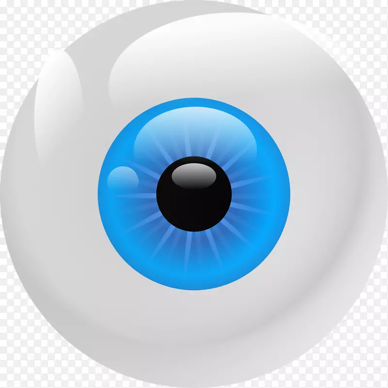 眼虹膜夹术-眼球