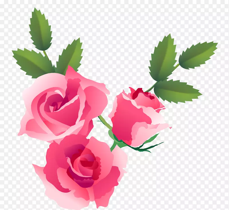 花的诗意语言；或爱的朝圣-玫瑰