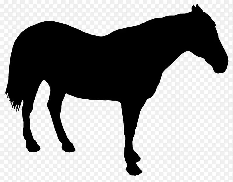 马匹画剪影-骑马