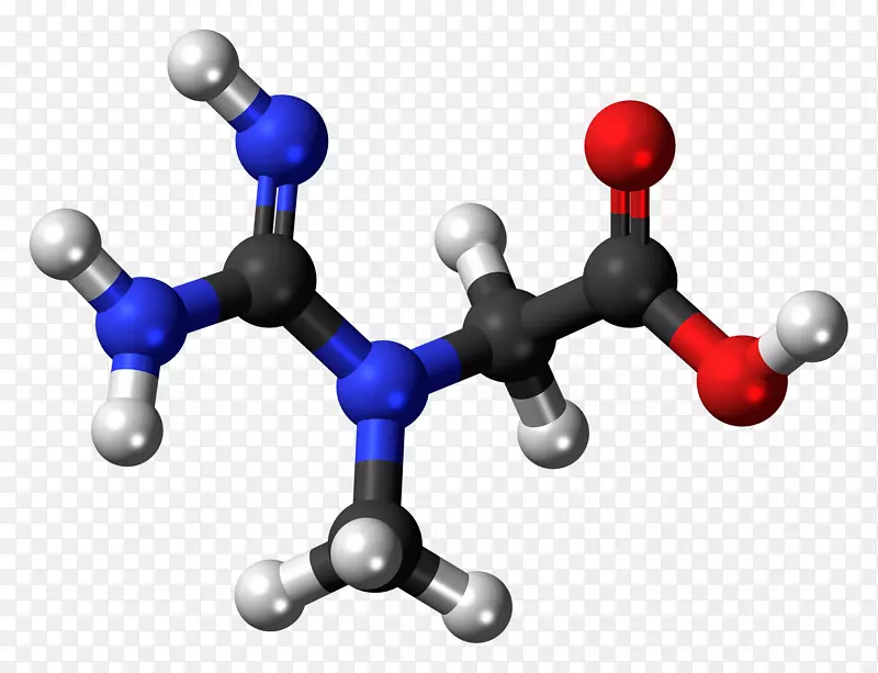 谷氨酸肌酸激酶胸苷己二酸分子
