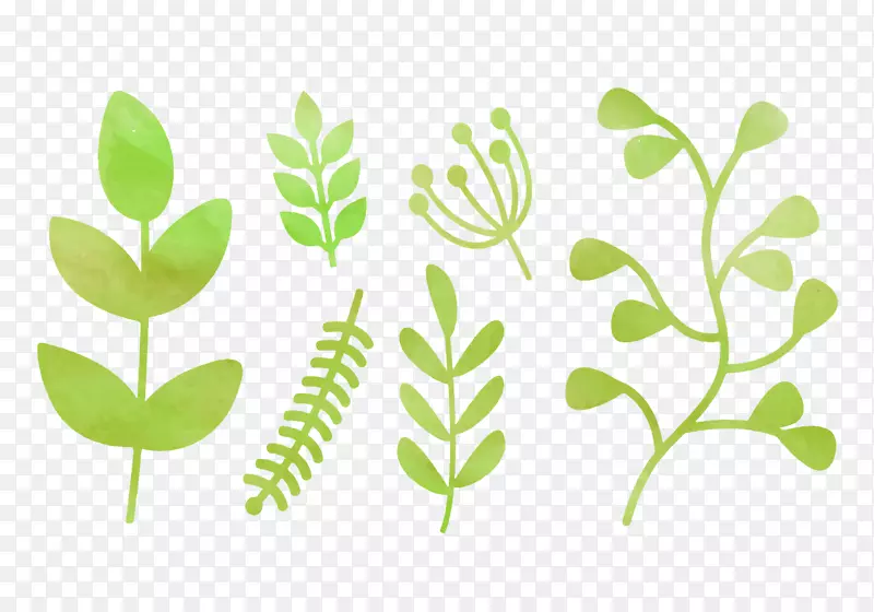 叶绿色水彩画自然-水彩画绿色植物