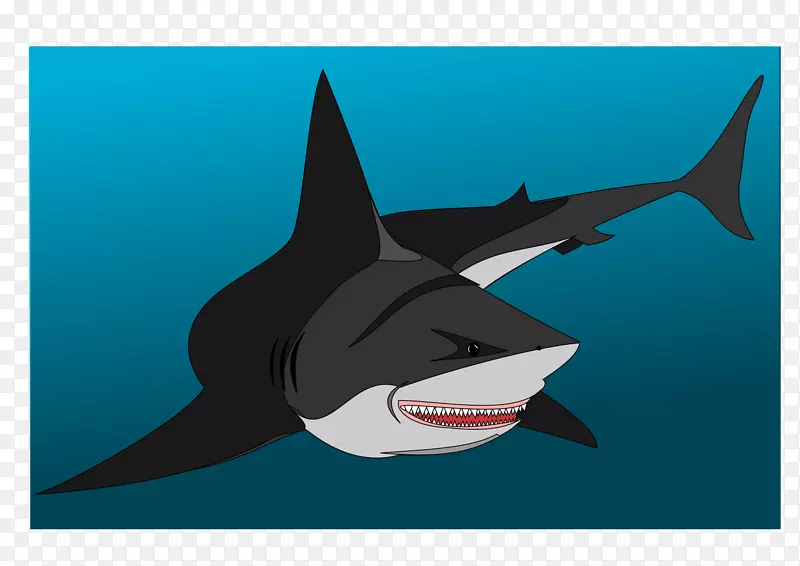 大白鲨鱼-幼鲨