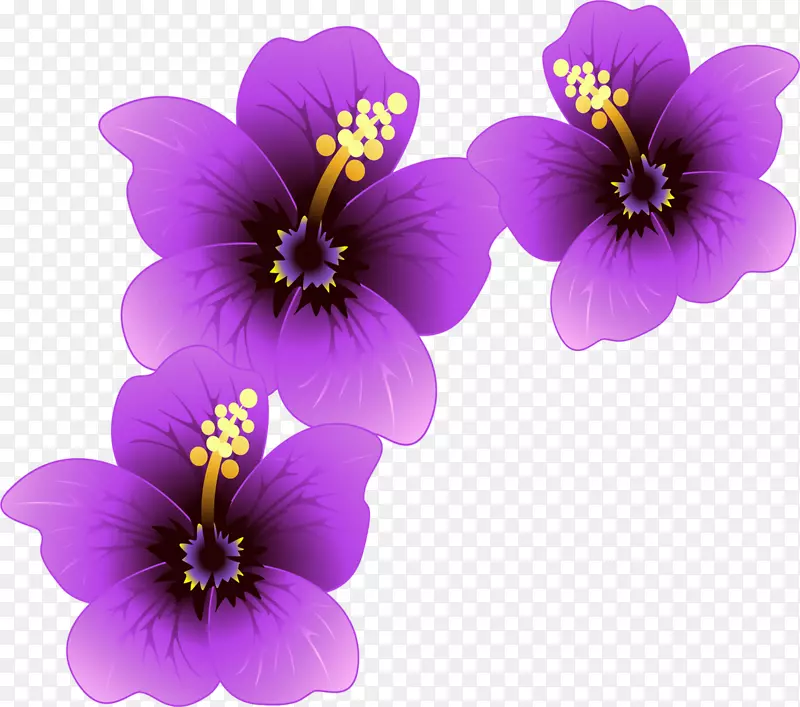 花紫纸植物-花泉
