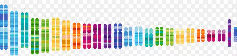 人类基因组计划23和Me基因测试遗传学dna-dna
