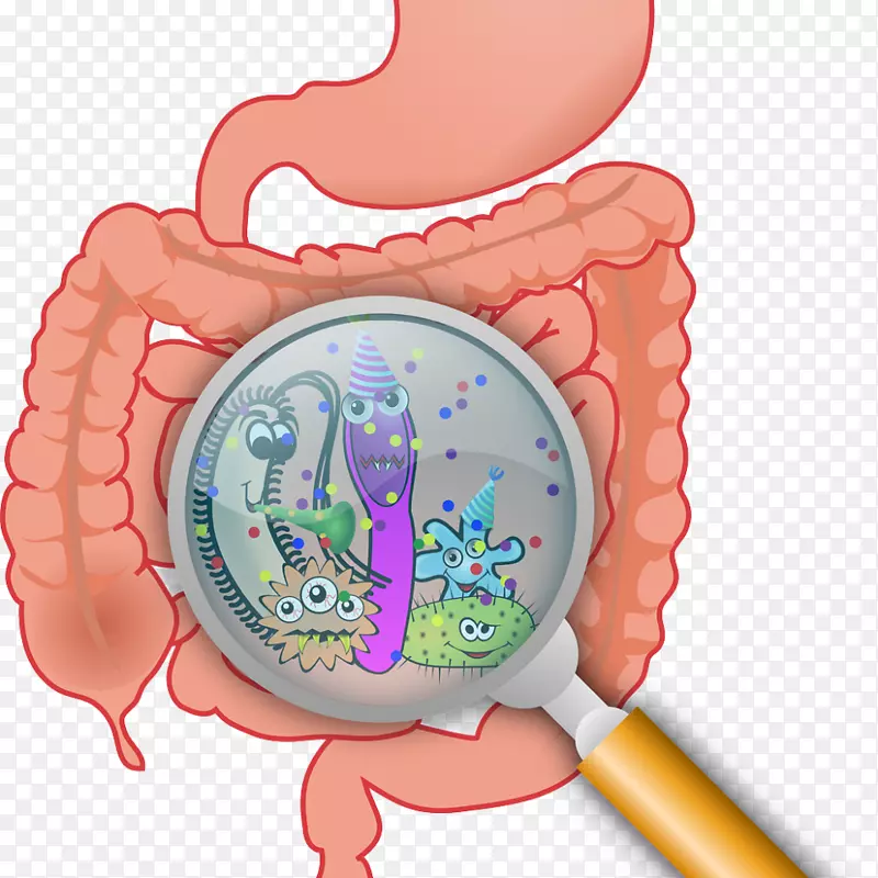 胃肠道菌群肠易激综合征大肠漏肠综合征-细菌