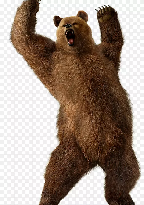 棕熊街斗士x Tekken灰熊Kuma和熊猫-芝加哥熊