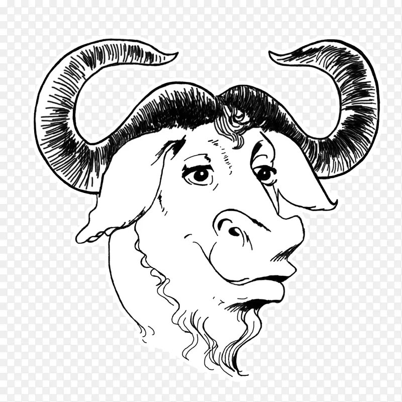 GNU通用公共许可证免费软件基金会