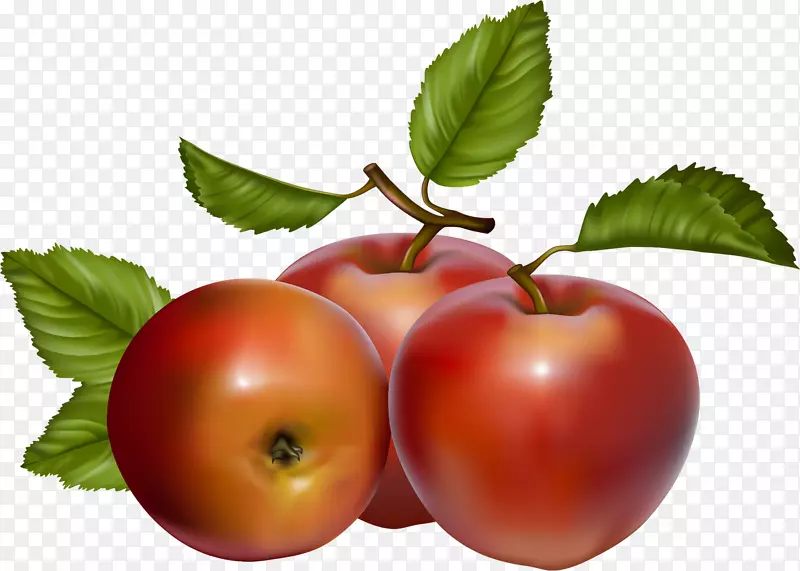 苹果夹艺术-浆果