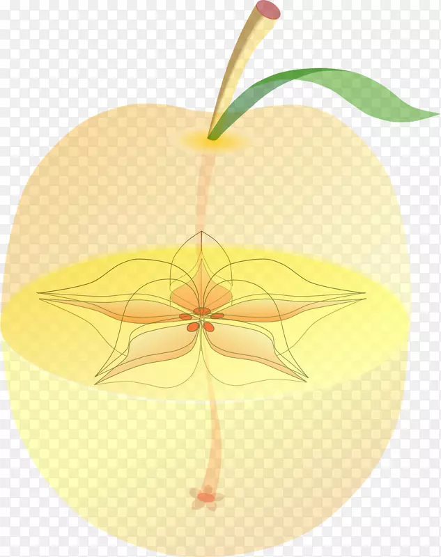 苹果剪贴画-解剖学