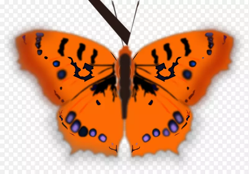 电脑图标剪辑艺术红蝴蝶