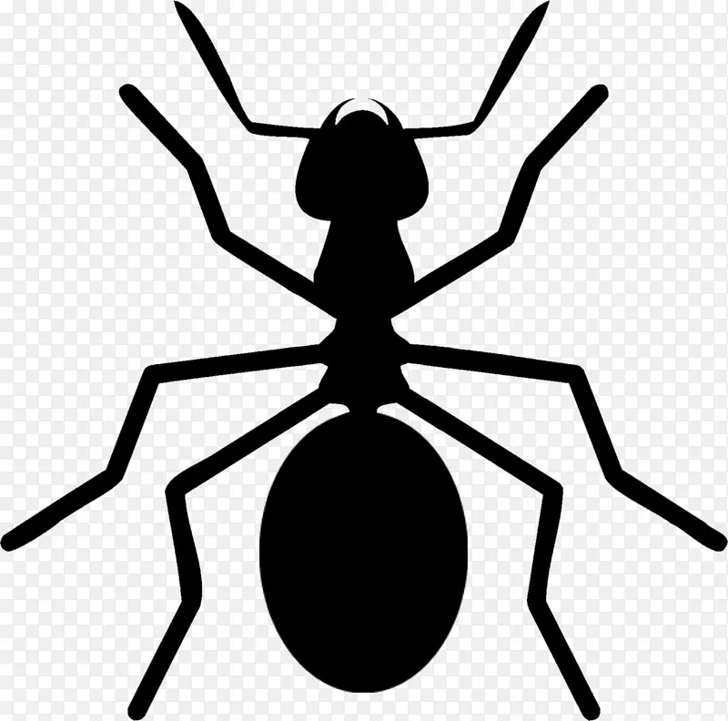 蚂蚁昆虫下载许可剪贴画